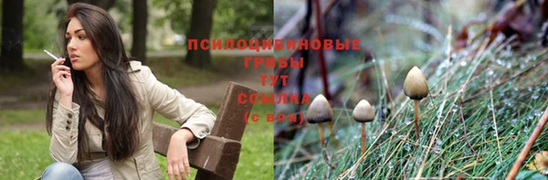 PSILOCYBIN Алексин